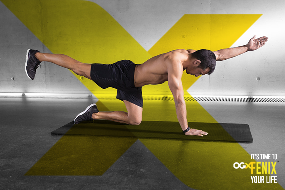 6-helpful-bodyweight-back-exercises-for-at-home-workouts-organo-blog